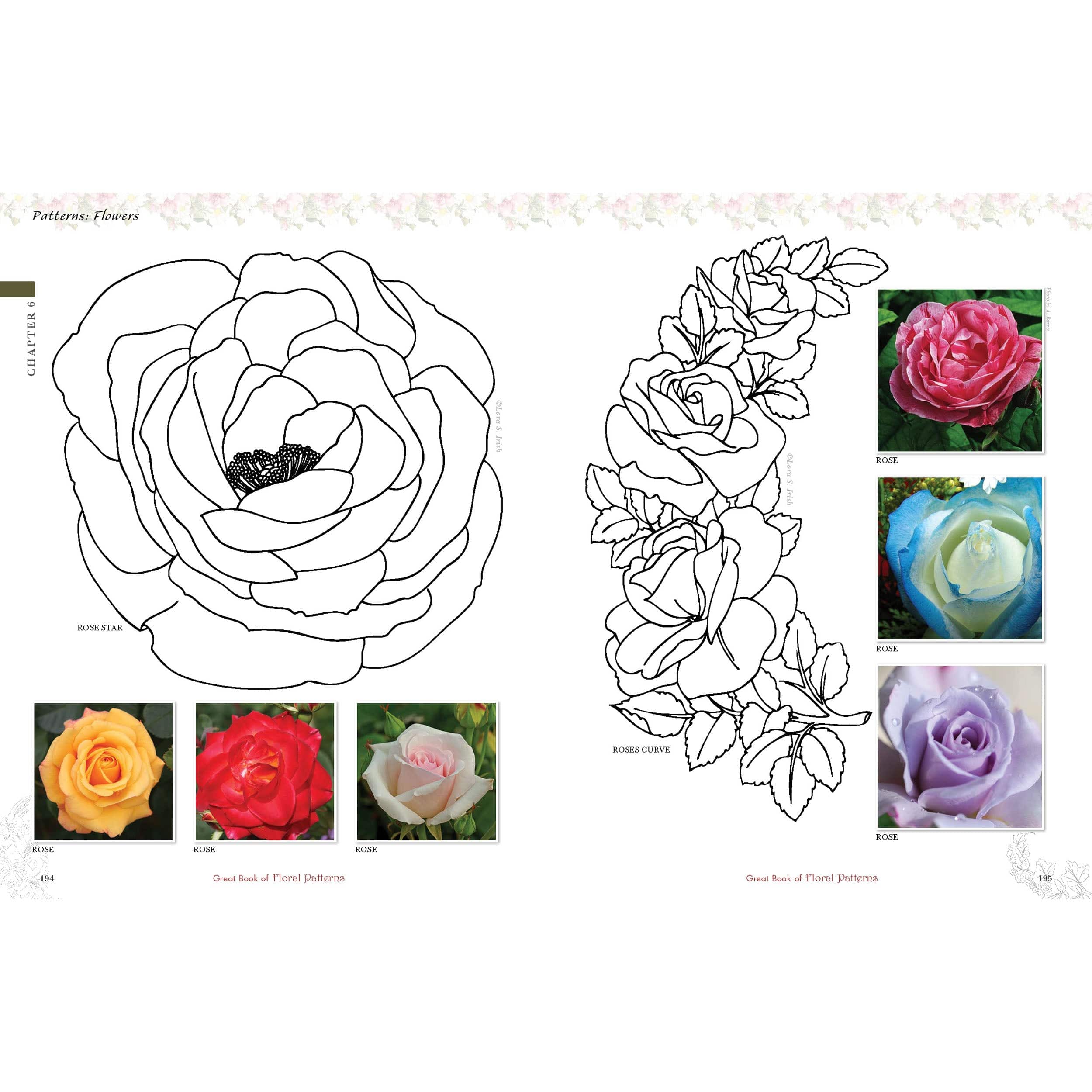 Great Book of Floral Patterns, Third Edition, Revised and Expanded - Image 8