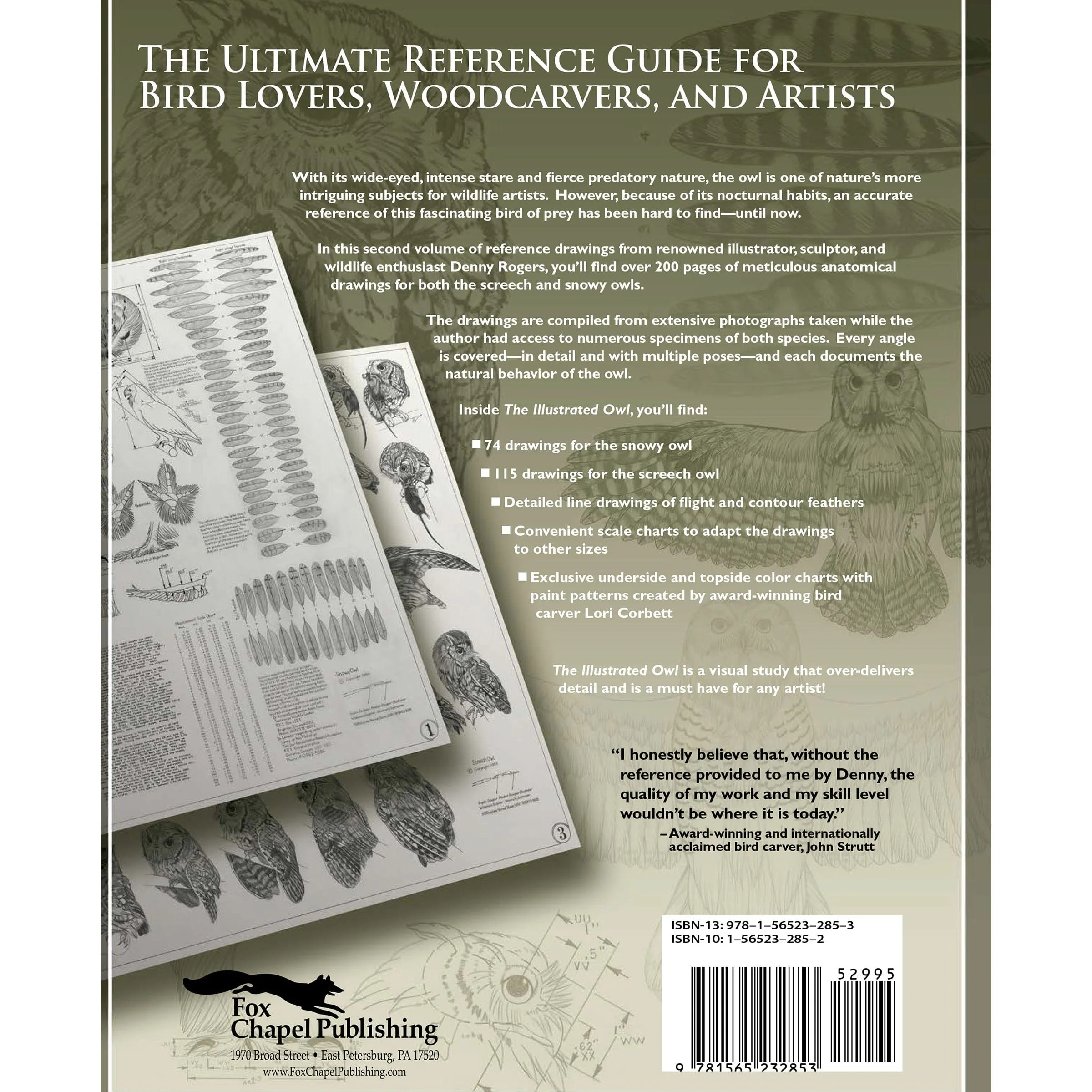 Illustrated Owl - Screech & Snowy: the Ultimate Reference for Bird Lovers, Woodcarvers, and Artists - Image 2