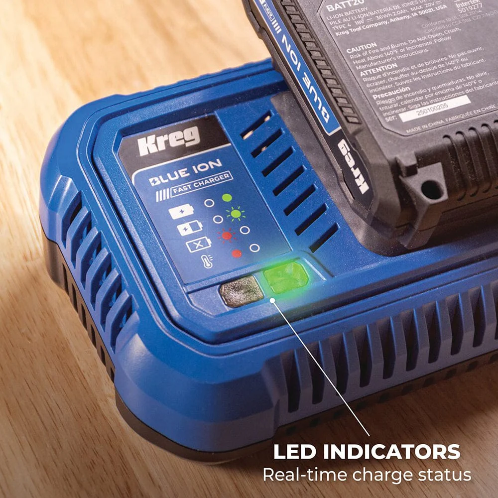 Blue Ion Fast Charger - 20V - Image 6