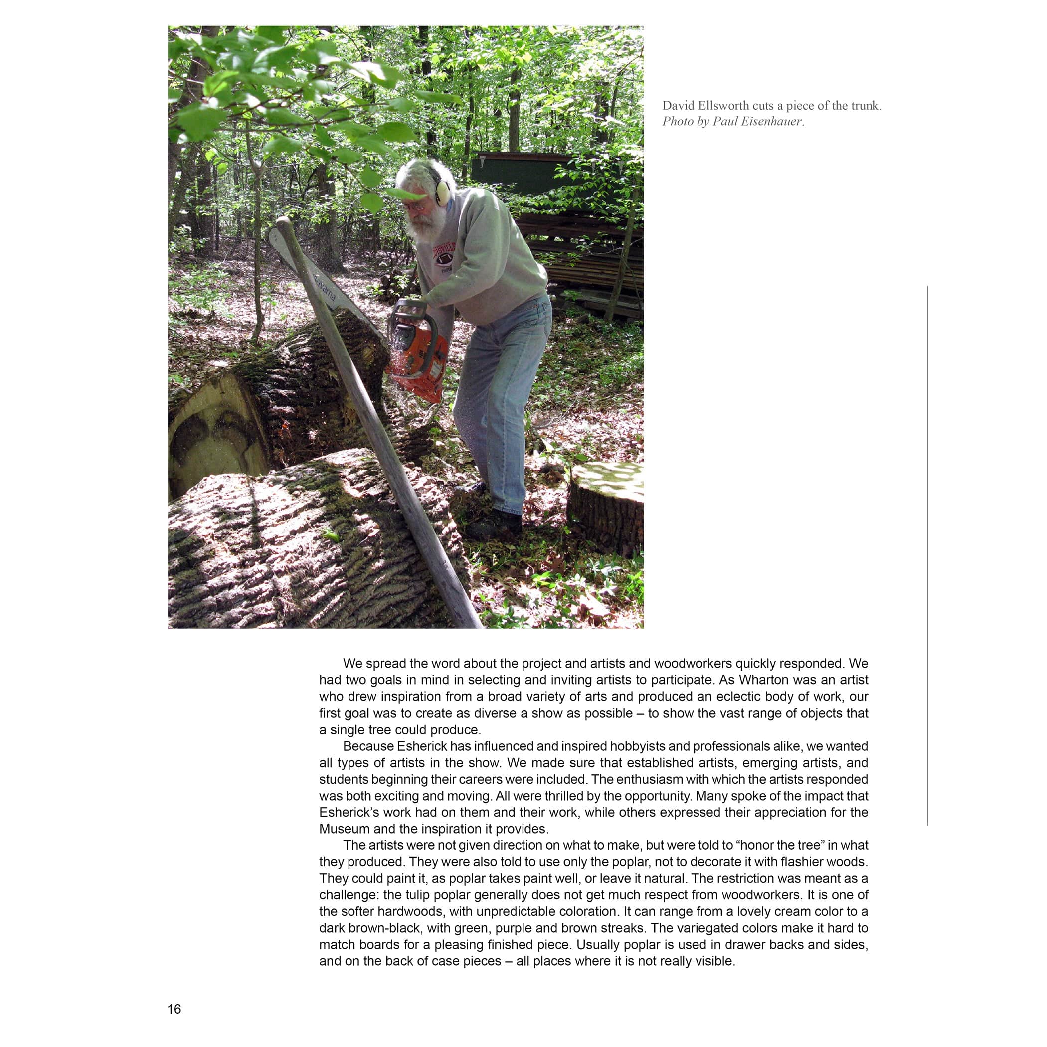 Poplar Culture: The Celebration of  Esherick's Tree - Image 2