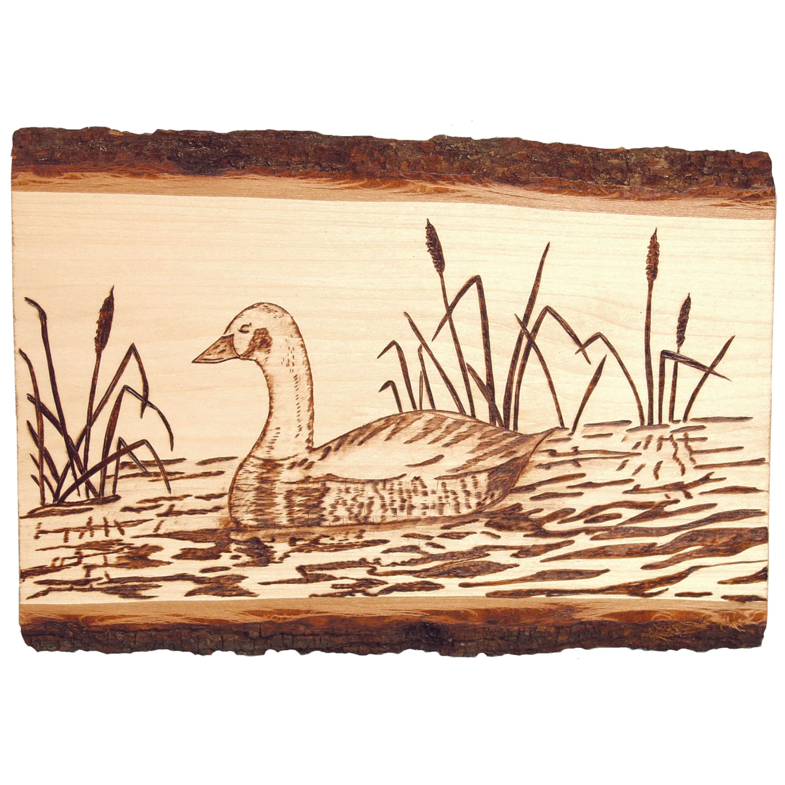 Basswood Country Planks for Wood Burning, Hot Stamping & Carving - Small - Image 3