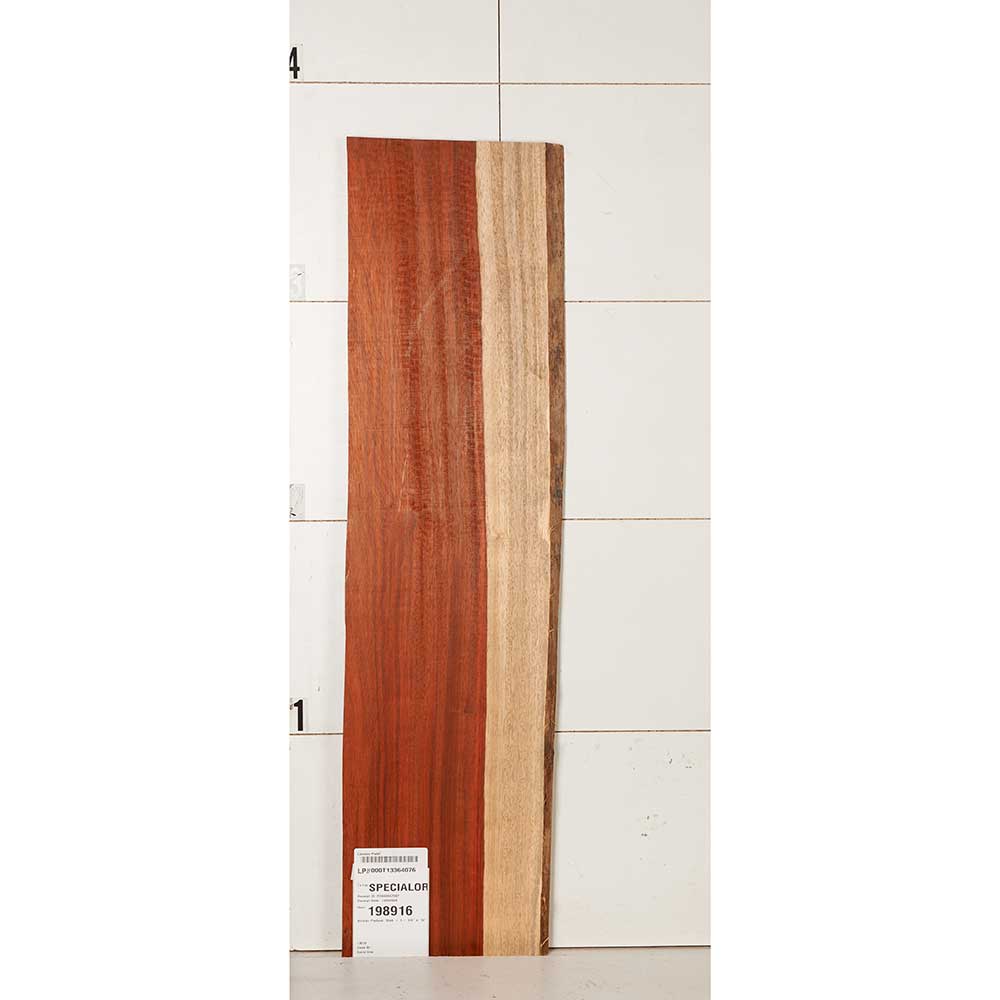 African Padauk Slab - Image 15