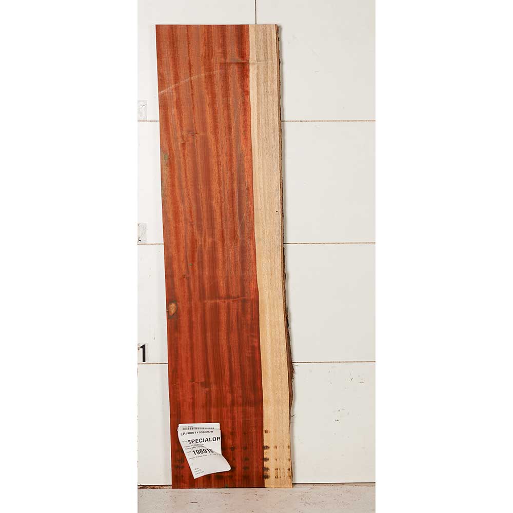 African Padauk Slab - Image 17