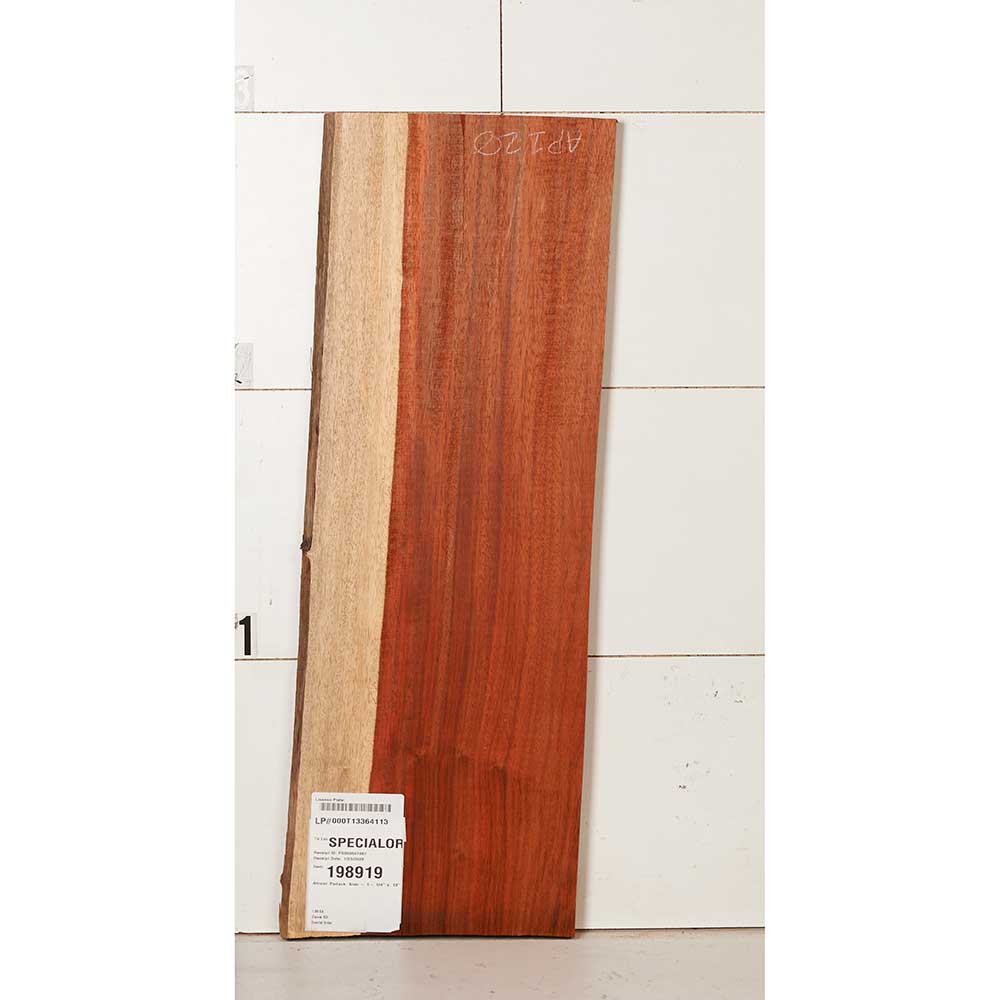 African Padauk Slab - Image 19