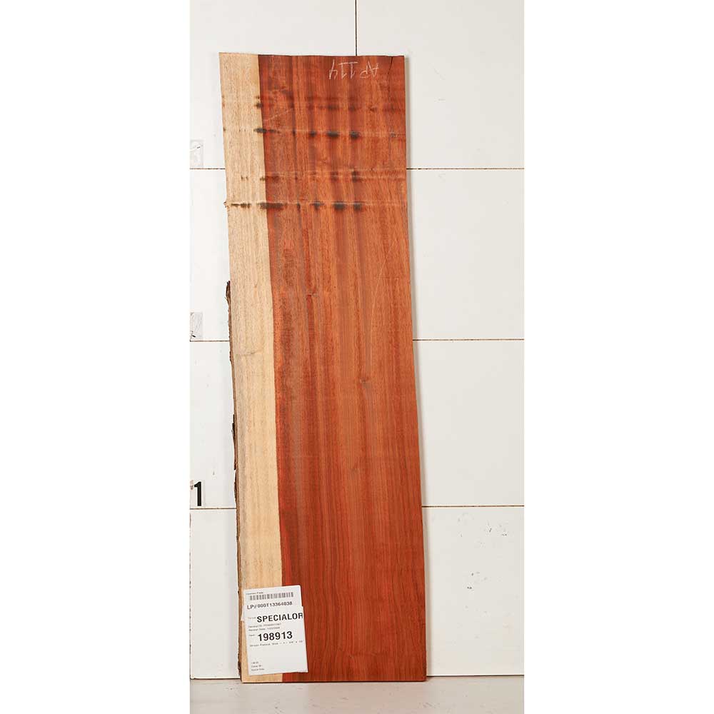 African Padauk Slab - Image 21