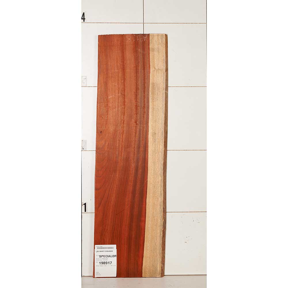 African Padauk Slab - Image 25