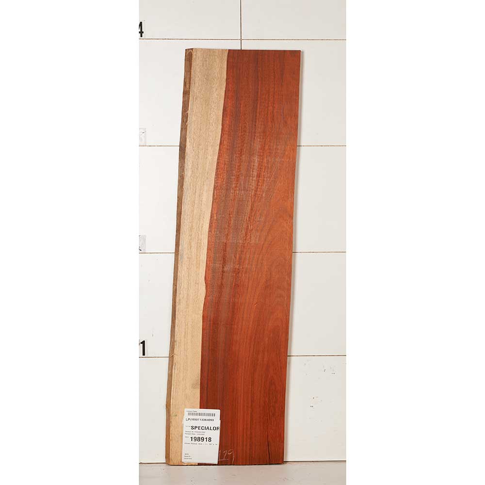 African Padauk Slab - Image 27