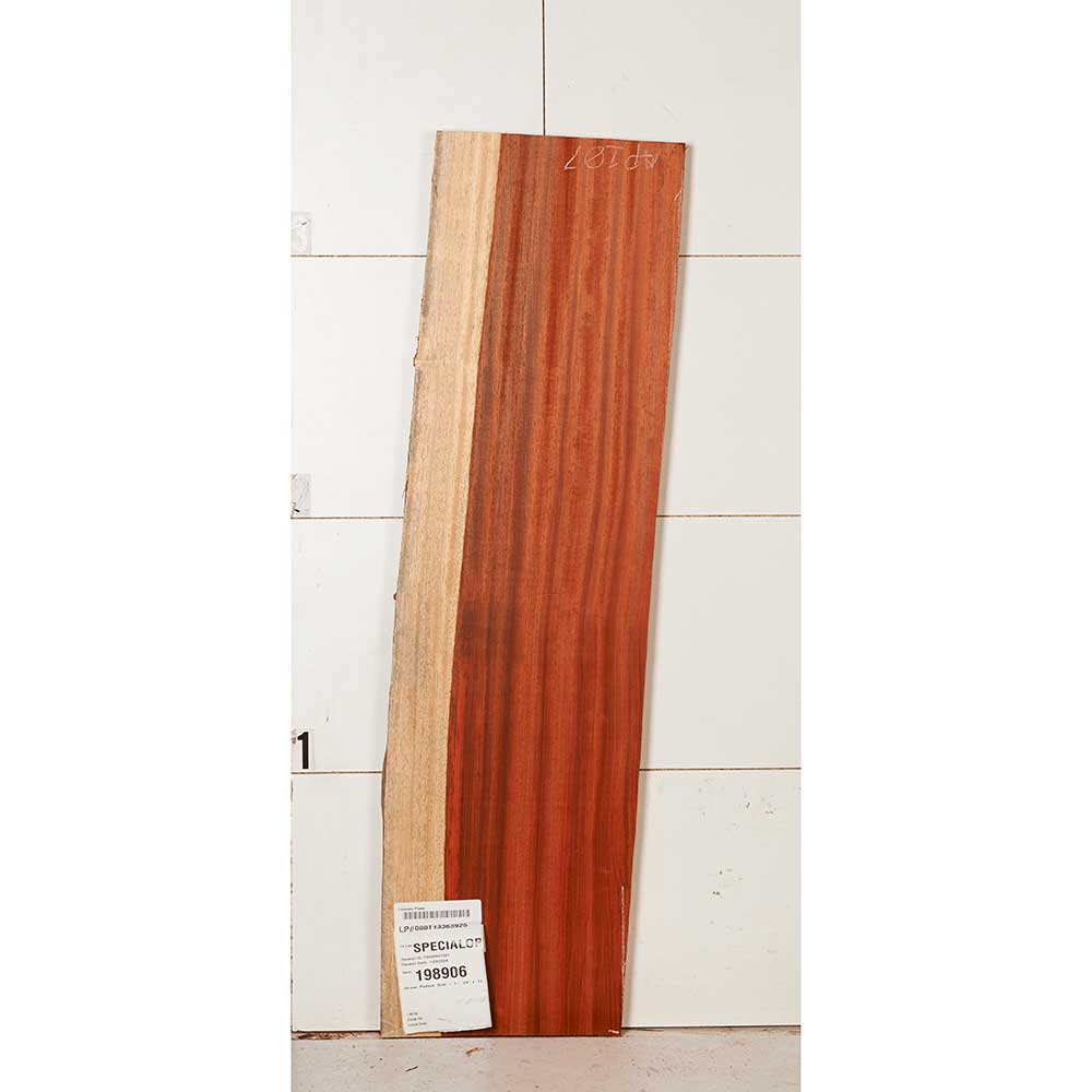 African Padauk Slab - Image 3