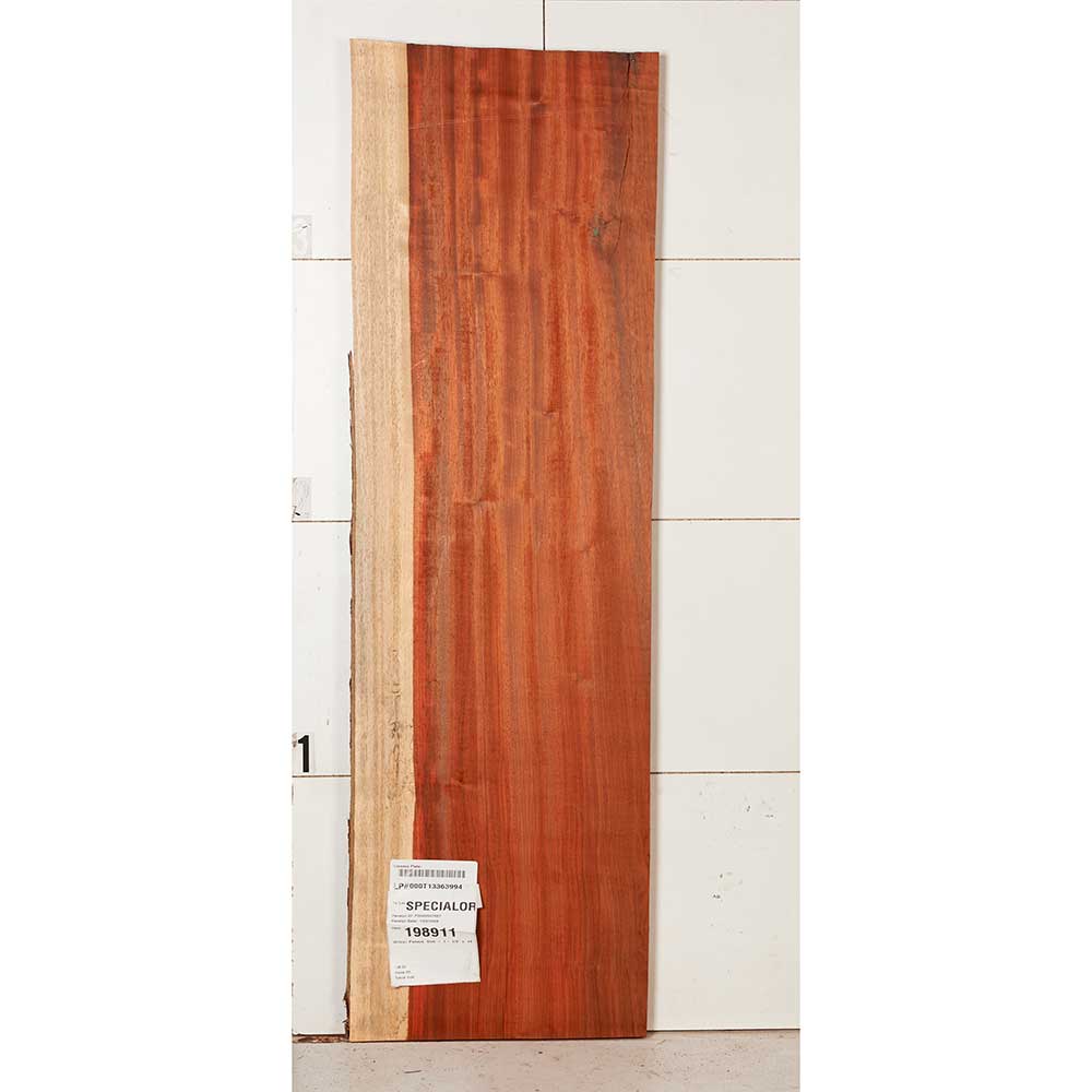 African Padauk Slab - Image 31