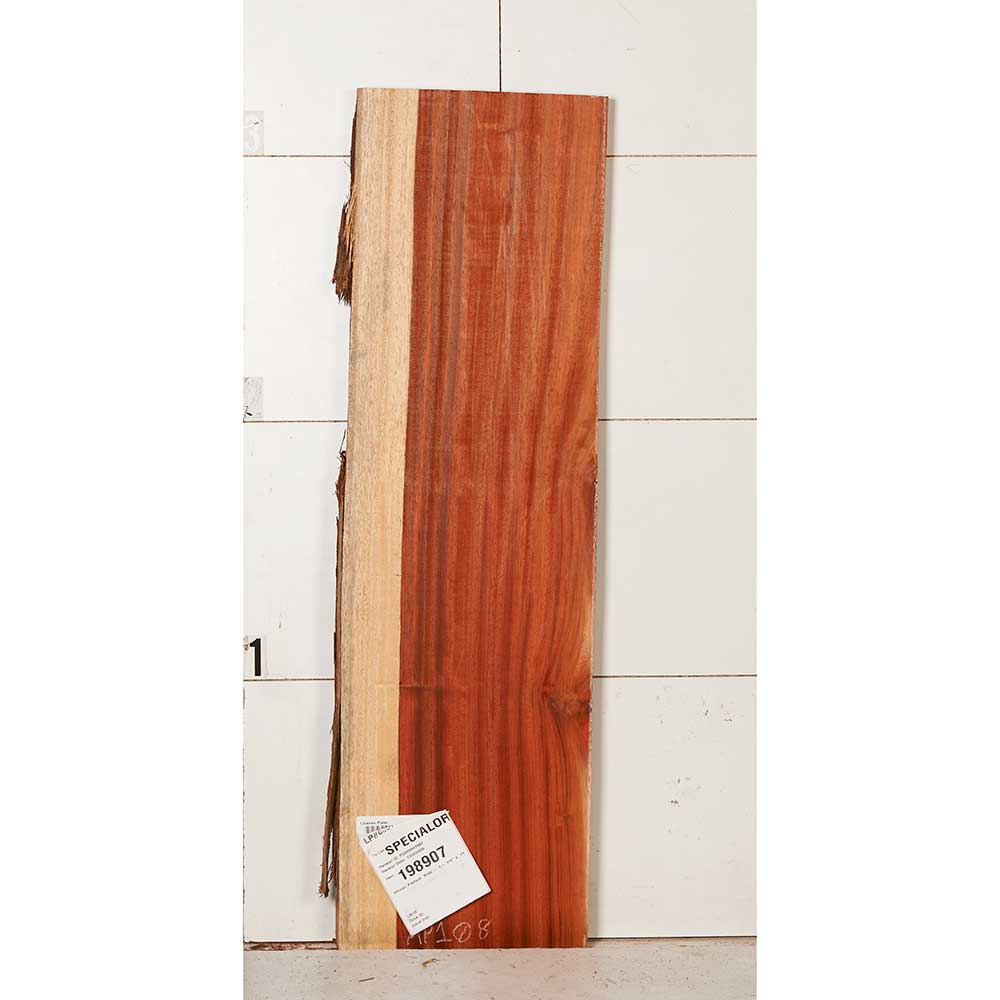 African Padauk Slab - Image 7