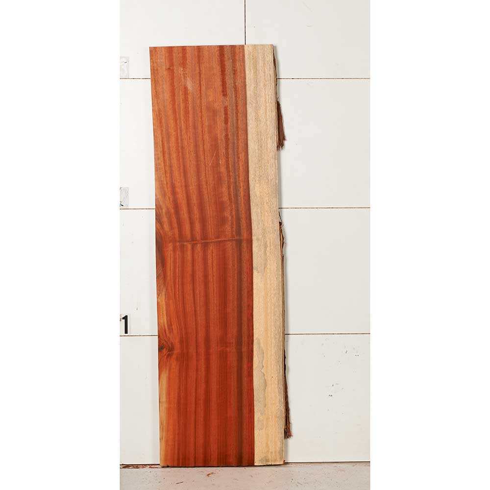 African Padauk Slab - Image 8