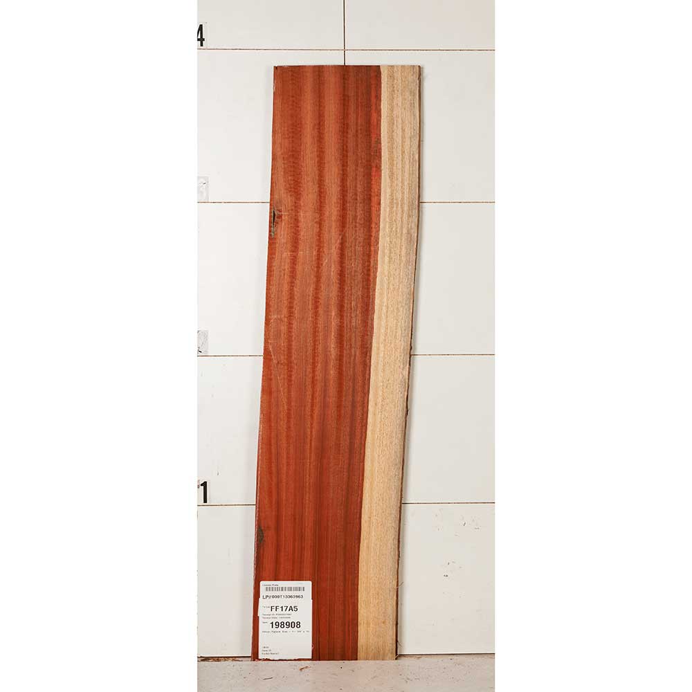 African Padauk Slab - Image 9