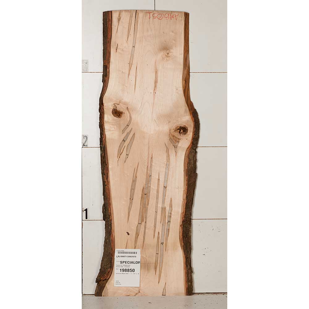 Ambrosia Maple Slab - Image 13
