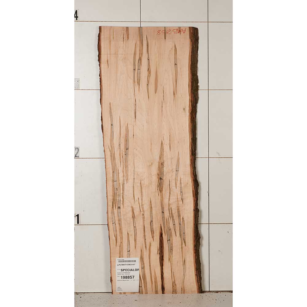 Ambrosia Maple Slab - Image 31