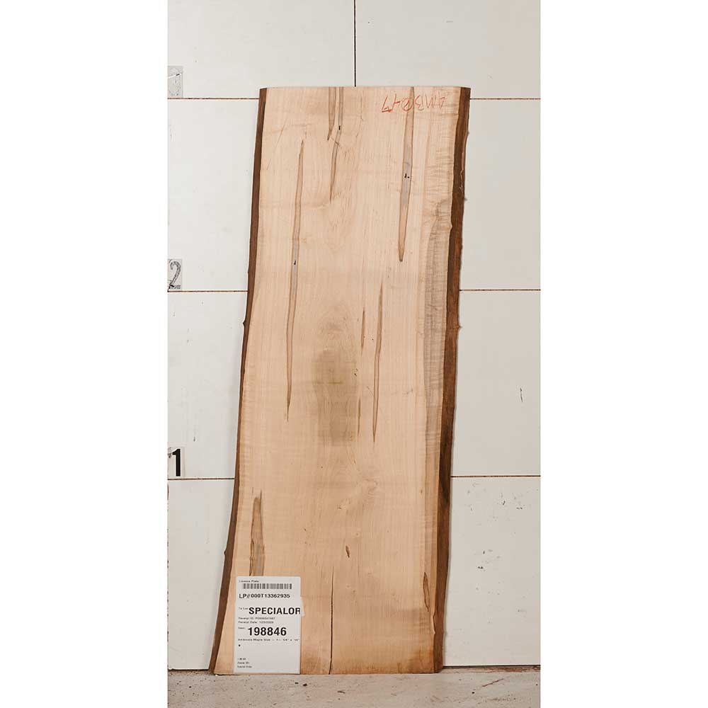 Ambrosia Maple Slab - Image 5