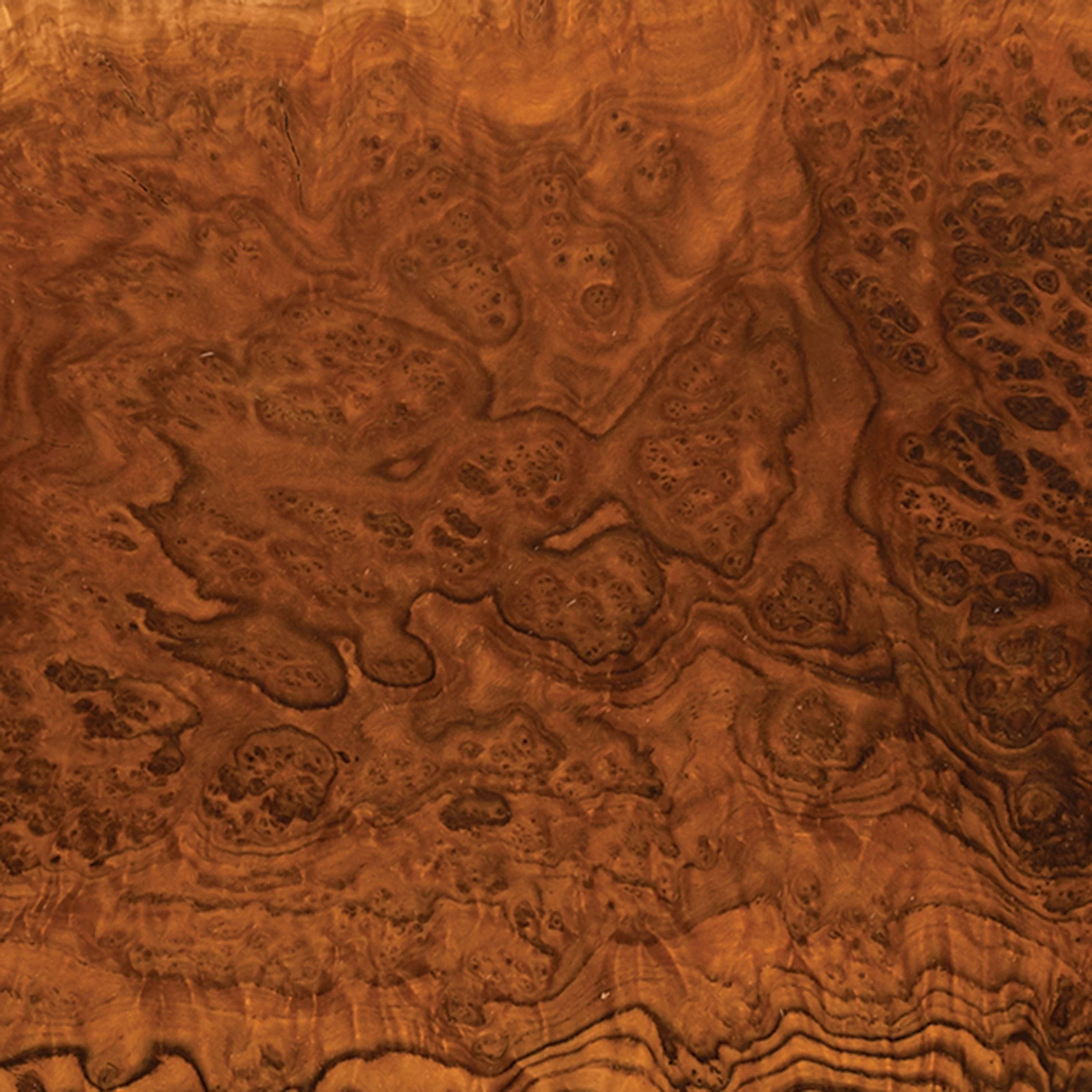 Australian Brown Mallee Burl Turning Blank - 1 kg - 2 kg - Image 2