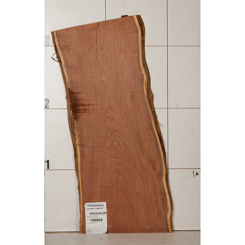 Black Mesquite Wood Slab - Image 13
