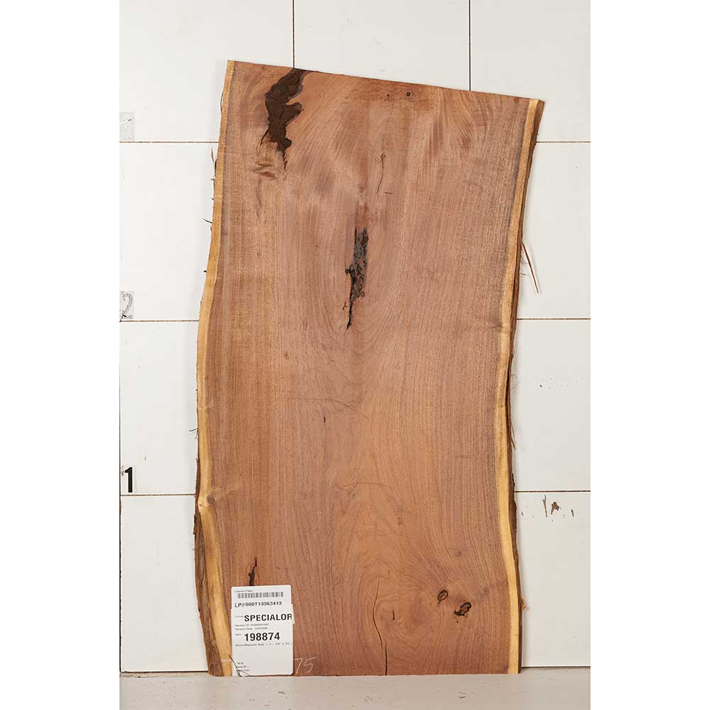 Black Mesquite Wood Slab - Image 27