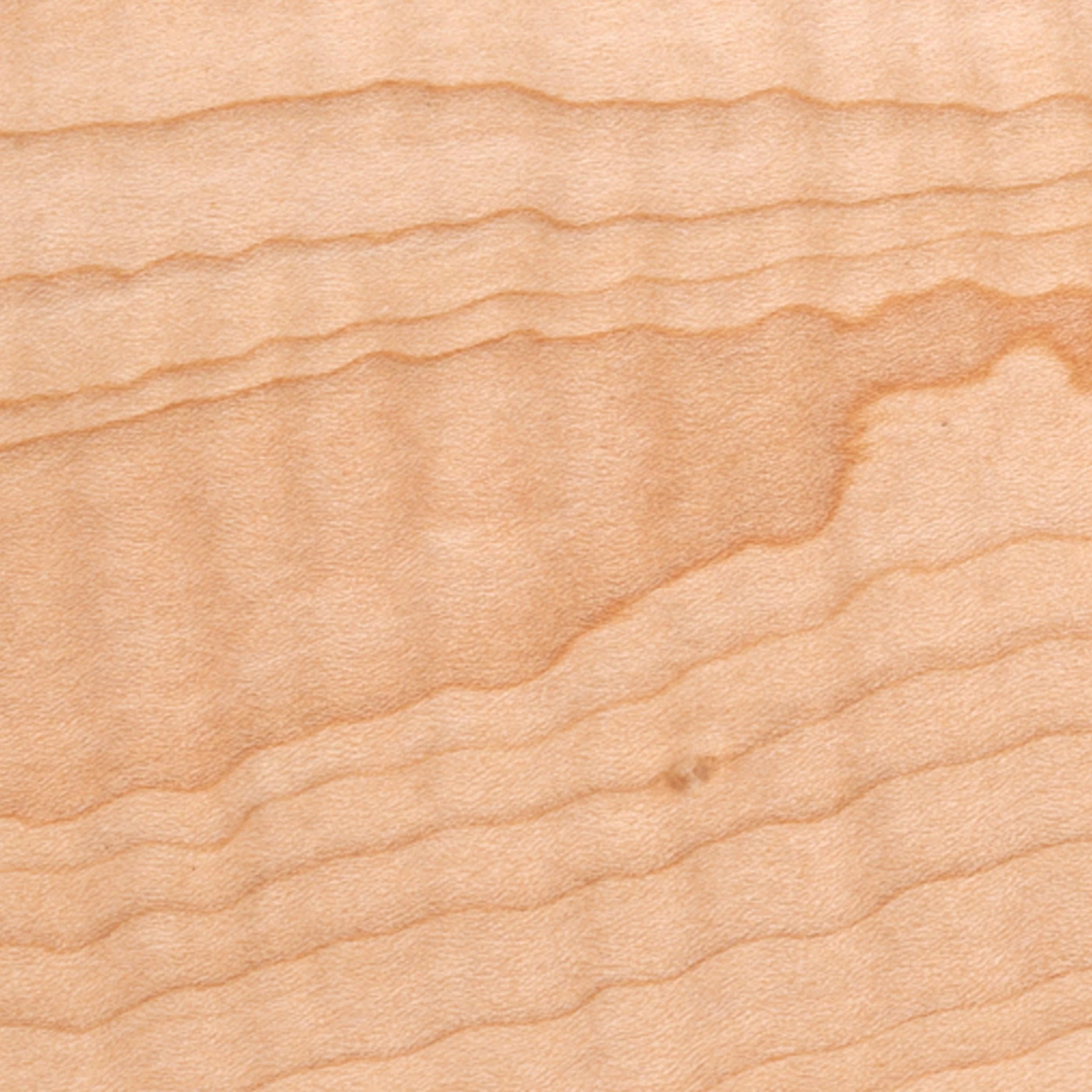 Curly Maple Dimensional Lumber - Image 14