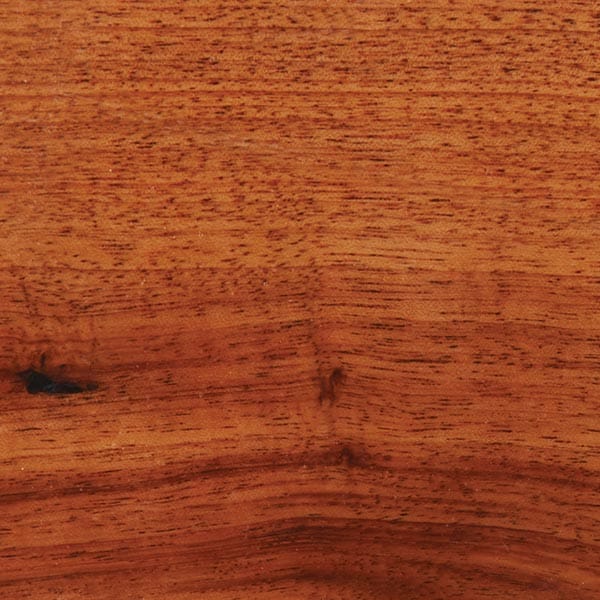 Orange Agate Wood Turning Stock - Image 4