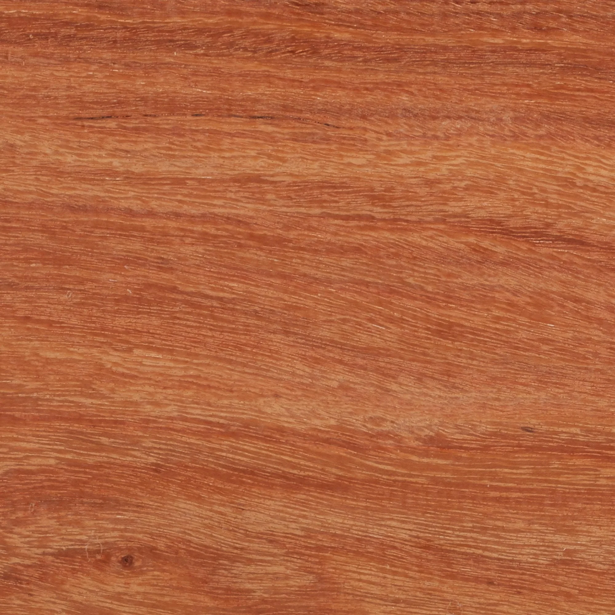 Pau Rosa Dimensional Lumber - Image 18
