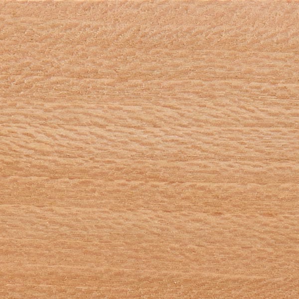 Sycamore Wood Turning Stock - Image 8